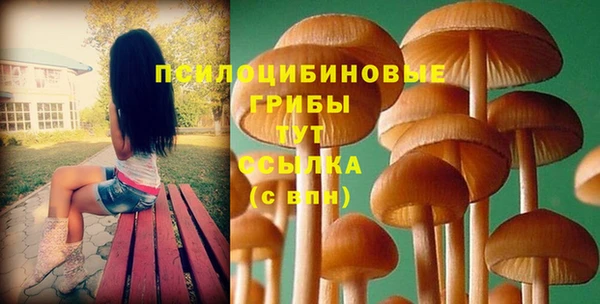 а пвп мука Арсеньев