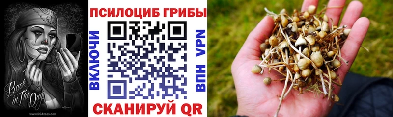 Псилоцибиновые грибы Cubensis  продажа наркотиков  Микунь 